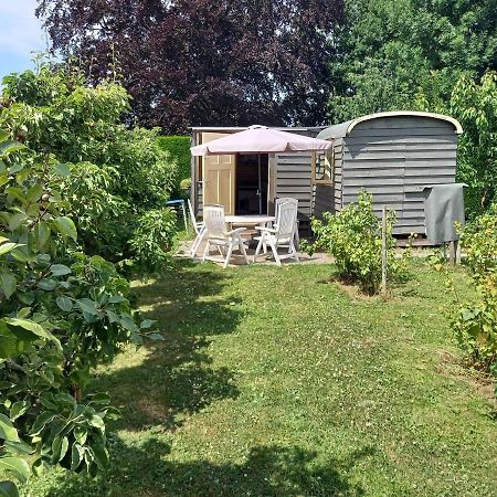 皮波瓦根/老莱茵河小木屋住宿加早餐旅馆 哈默伦 外观 照片