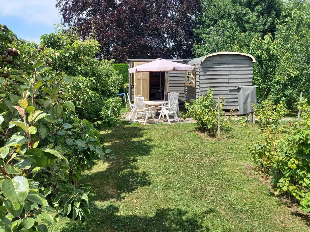 皮波瓦根/老莱茵河小木屋住宿加早餐旅馆 哈默伦 外观 照片