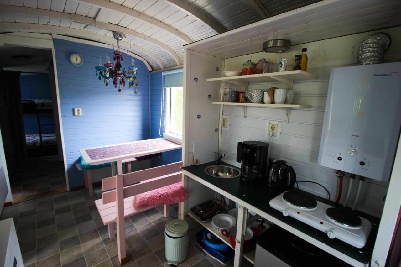 皮波瓦根/老莱茵河小木屋住宿加早餐旅馆 哈默伦 外观 照片